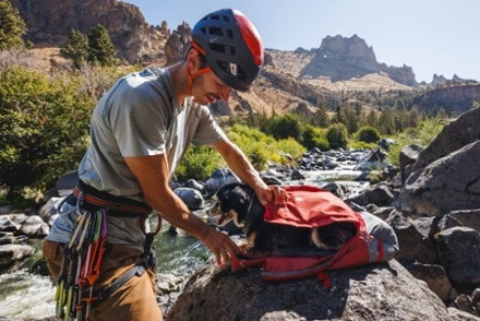 Ruffwear Hitch Hiker Dog Pack Carrier 3