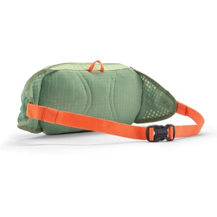Patagonia Terravia Hip Pack 1