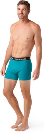 Smartwool Boxer Briefs - Men's