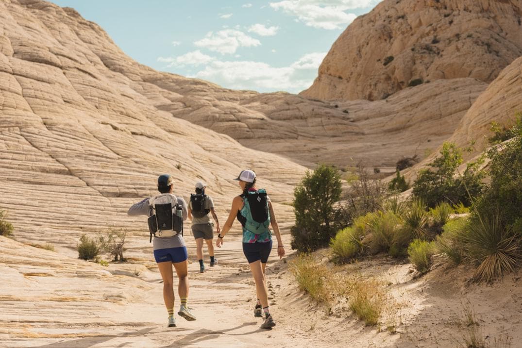 Location Image for Lone Peak 8 Trail-Running Shoes - Women's