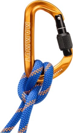 Mammut Sender Screwgate Carabiner 1