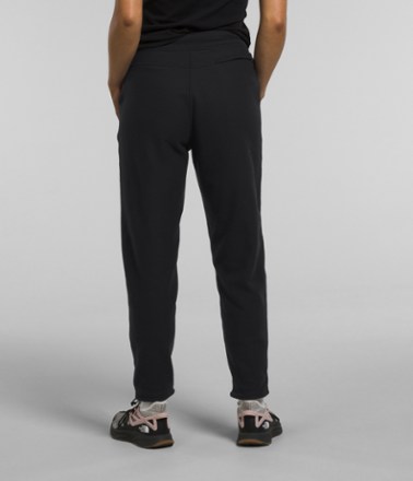 The North Face Alpine Polartec 100 Pants - Women's 3
