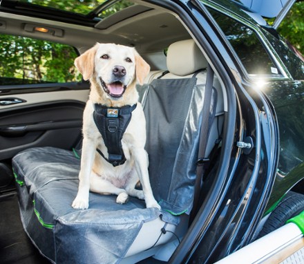 In Use (Black/Green)