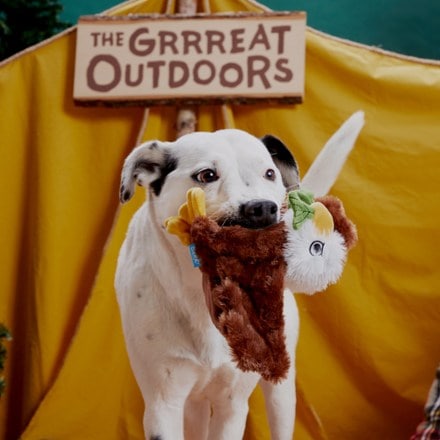 Bark Great Outdoors Plus Dog Toy 1