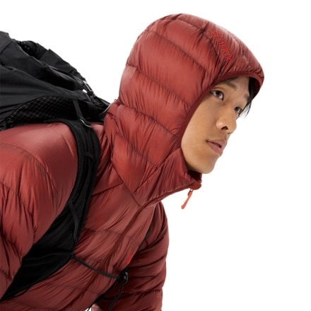 Arc'teryx Cerium Down Hoody - Men's 6