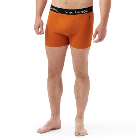 Smartwool Active Boxer Briefs - Men's 1