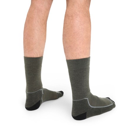 Icebreaker Hike+ Medium Crew Socks - Men's 1