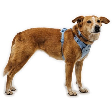 Ruffwear Front Range Flex Harness 3