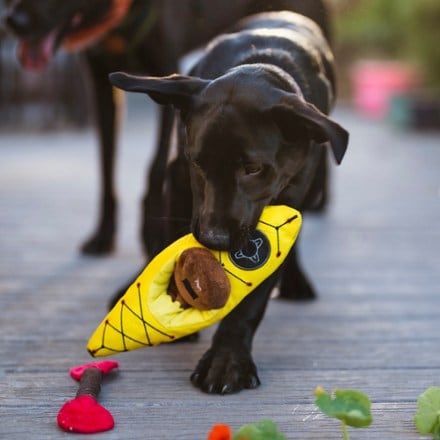 Play Pet Brands Camp Corbin K9 Kayak Dog Toy 6