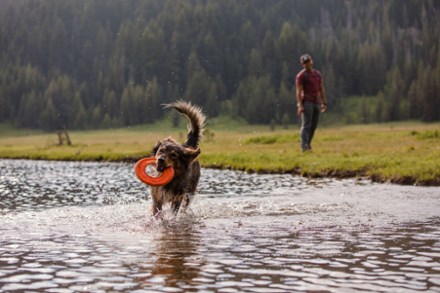 Ruffwear Hydro Plane Dog Toy - 8" 4