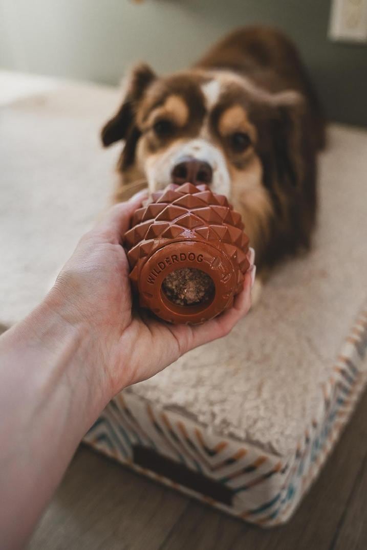 Location Image for The Conifur Enrichment Toy