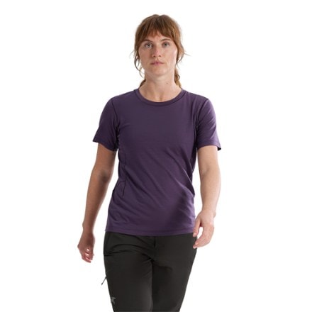 Arc'teryx Lana Merino Wool Crew Base Layer Top - Women's 1