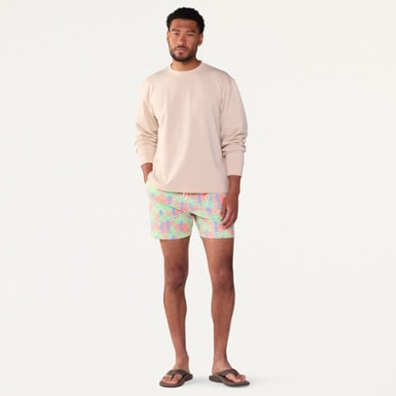 Chubbies Stretch 5.5" Lined Swim Trunks - Men's 3