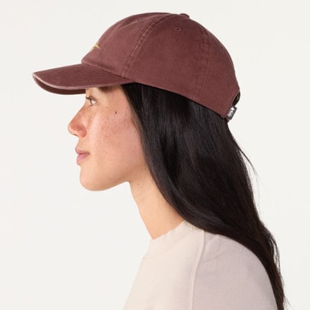 REI Co-op Everyday Graphic Cap 1