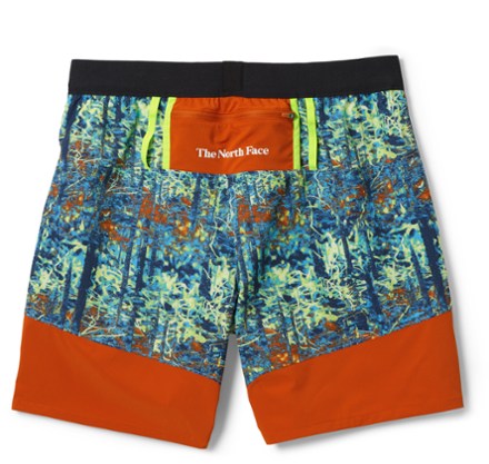 The North Face Trailwear OKT Trail Shorts - Men's 4