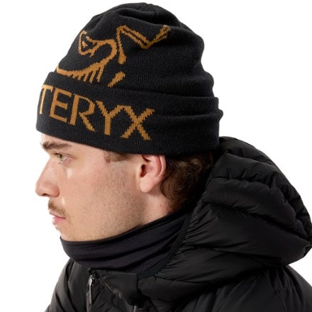 Arc'teryx Bird Word Toque 3