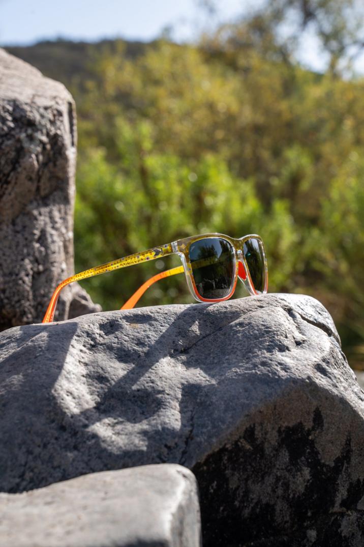 Location Image for Fish Shades Polarized Sunglasses