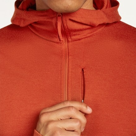 Icebreaker 260 Quantum Long-Sleeve Zip Hoodie - Men's 3