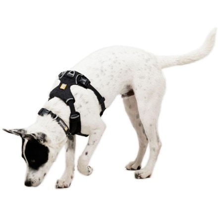 Ruffwear Front Range Flex Harness 5