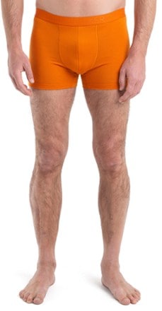 Icebreaker Anatomica Cool-Lite Boxers - Men's 1