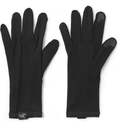 Arcteryx Gothic Gloves