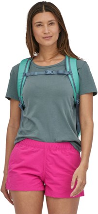 Patagonia Atom 20L Tote Pack 2