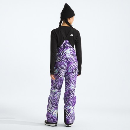 The North Face Freedom Insulated Bib Snow Pants - Women's 2