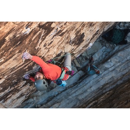 Location Image of color Desert Sage