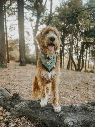 The Landmark Project Flora/Fauna Bandana 4