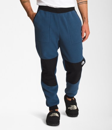 The North Face Women's Denali Pants | Dick's Sporting Goods