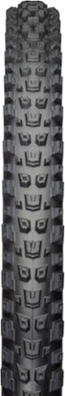 Teravail Warwick Durable Tire 2