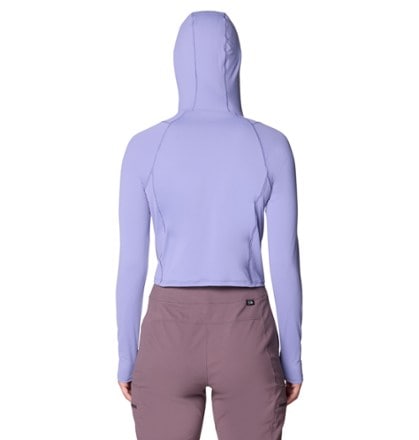 Mountain Hardwear Crater Lake Crop Zip Top - Women's 1