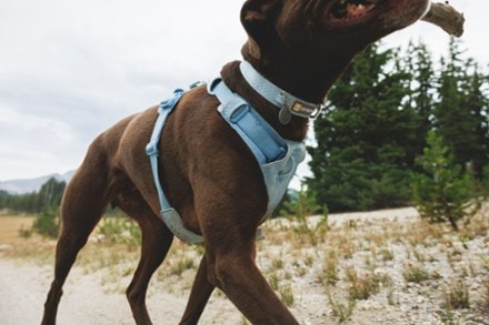 Ruffwear Front Range Flex Collar 2