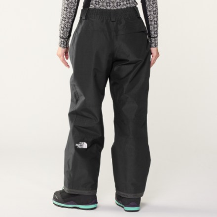 The North Face GTX Hex Snow Pants - Women's | REI Co-op