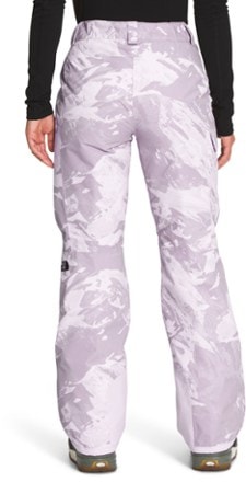 The North Face Freedom Insulated Snow Pants - Women's 1