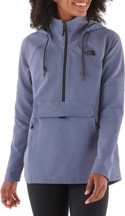 the north face women's tekno ridge hoodie