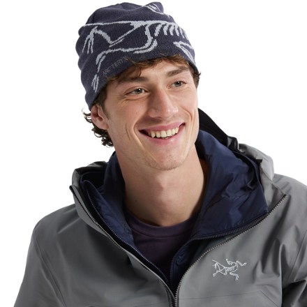 Arc'teryx Bird Head Toque Beanie 1