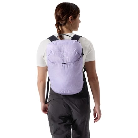 Arc'teryx Konseal 15 Pack 5