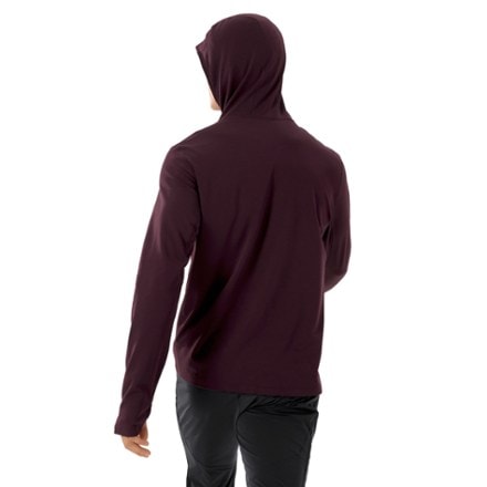 Arc'teryx Cormac Heavyweight Hoody - Men's 2