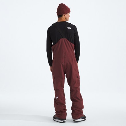 The North Face Freedom Bibs - Men's | REI Co-op