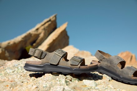 Location Image of color Faded Khaki