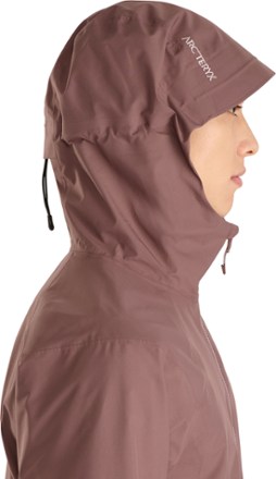 Arc'teryx Kadin Hoody - Men's | REI Co-op