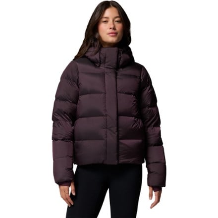 Columbia Amaze Puff Down Hooded Jacket - Women's 1