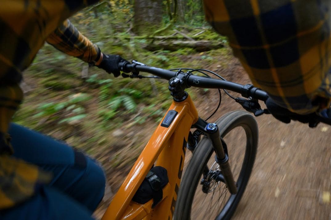 Location Image for Moraine 145 CUES 10 Electric Mountain Bike