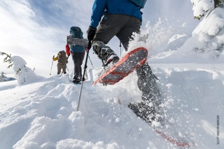 MSR DynaLock Explore Backcountry Poles - Pair 4
