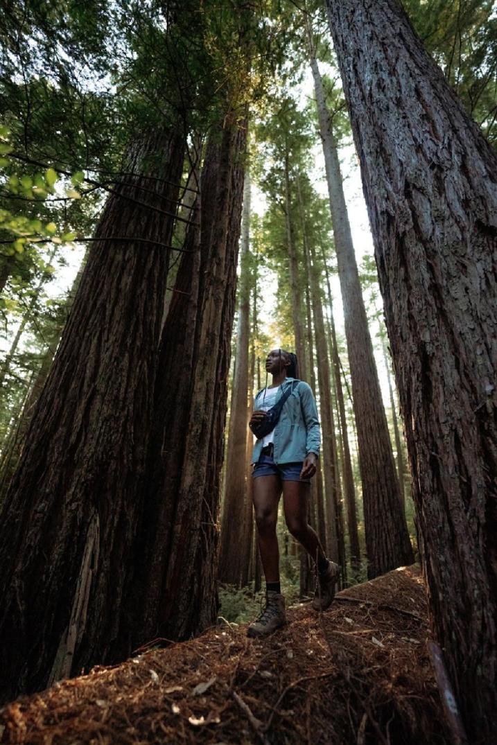 Location Image for Haven Shorts 3.5" - Women's