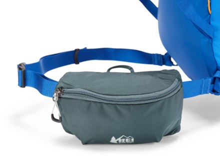 REI Co-op Packmod Hipbelt Pocket 1