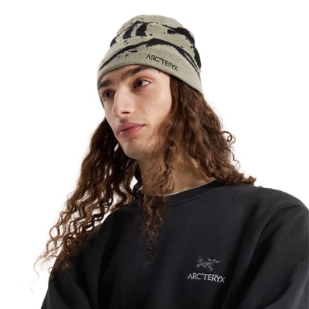 Arc'teryx Grotto Toque Hat 4