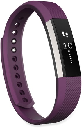 rebel fitbit