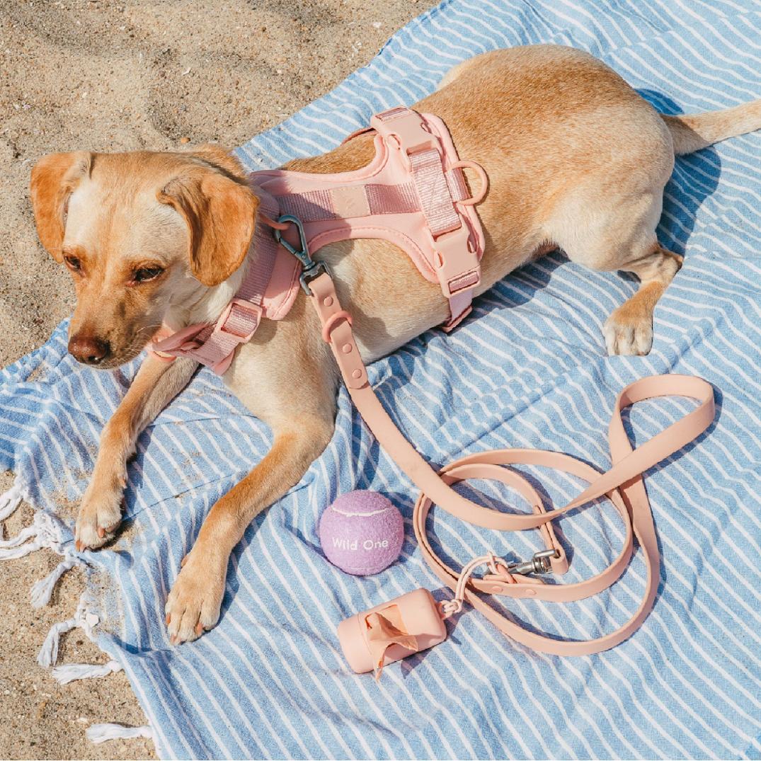 Location Image for Waterproof Dog Leash